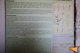 Santa Ninfa 19 11 2016 183.jpg